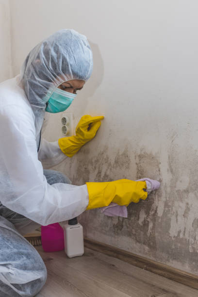 Mold Remediation for Rental Properties in Mannford, OK