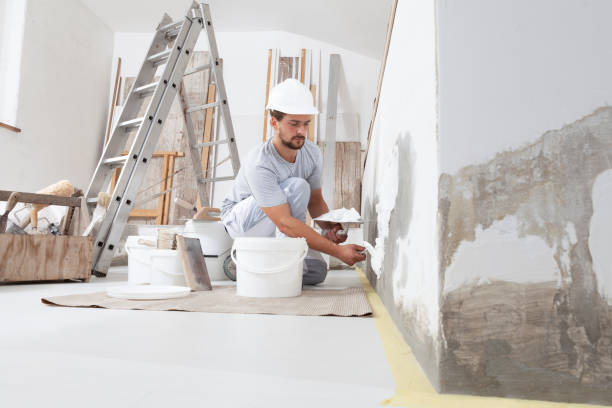 Best Mold Remediation for Rental Properties  in Mannford, OK